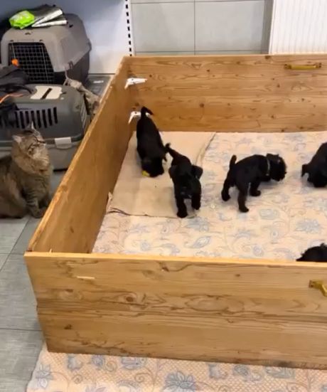 Он сам выбрал свою судьбу