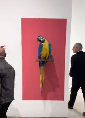 Объемные композиции