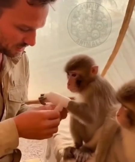 Студент медик⁠⁠