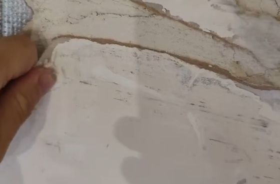 Таким трудным способом попал в семью