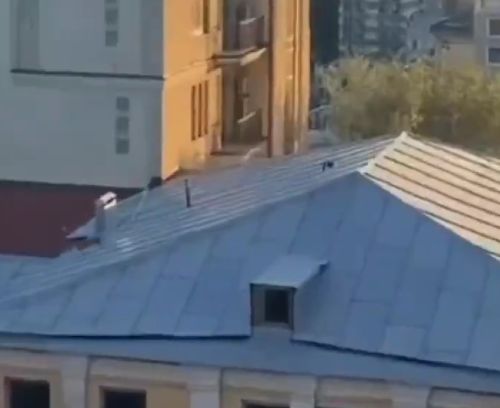 Помчались по делам