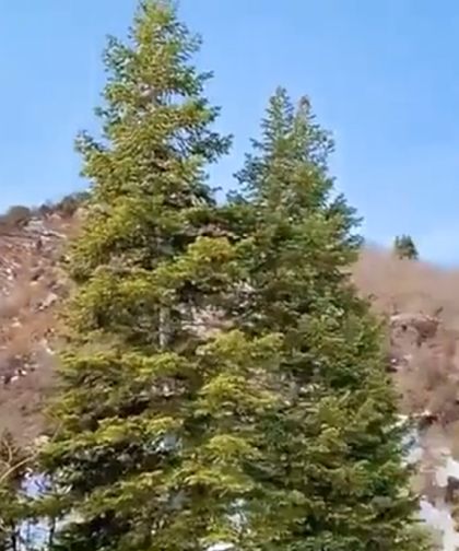 Маскировка⁠⁠