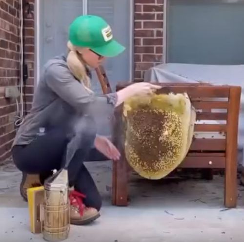 Неужели это не нейросетка сгенерила?