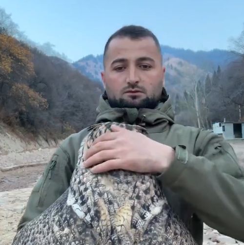 Вот такая вот птичка