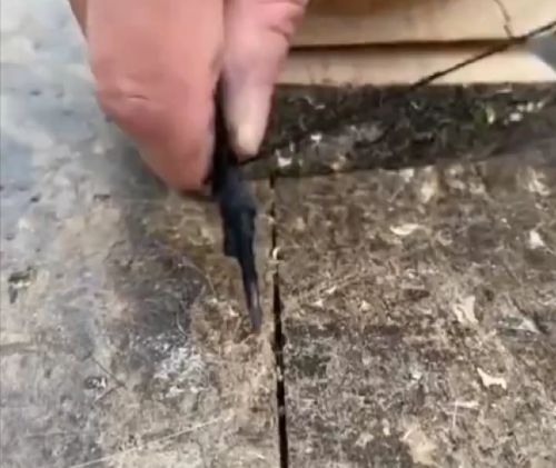 Чем занимаются японские женщины на своих дачах