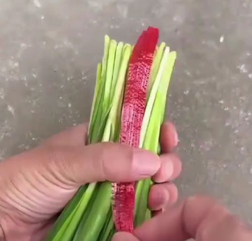 Немного узлов⁠⁠