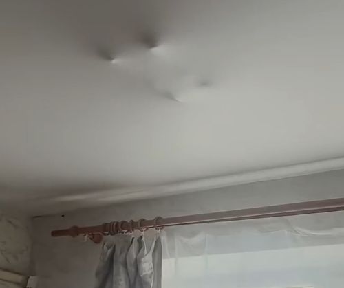 С таким котом не соскучишься⁠⁠