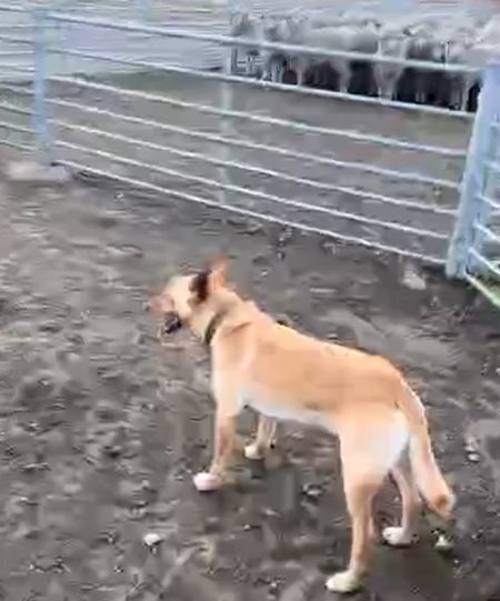 Разобрался с пробкой