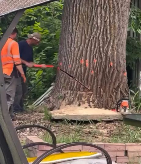 Когда самый дешевый мастер оказался самым дорогим