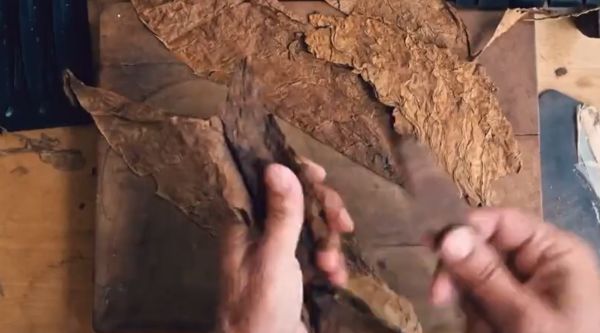 Профессиональный никотинщик