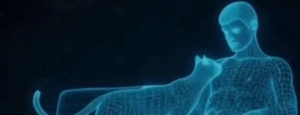 Кошки чувствуют эмоции хозяев и способны синхронизировать с ними сердцебиение