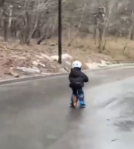 Мать запустила сына на велосипеде с Воробьёвых гор