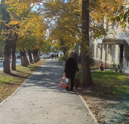 Как в домах появляются тараканы