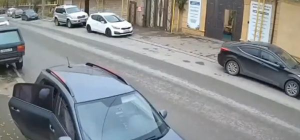 Хотела перебежать дорогу