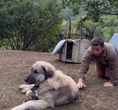 Утро начинается...