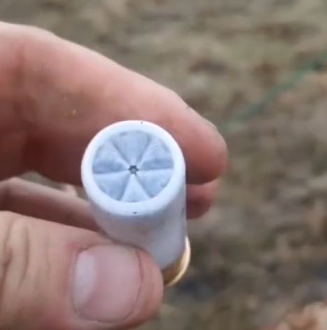 Случай на охоте