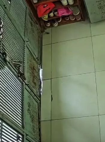 Кот, подай ключи