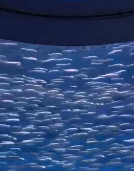 Главное - не плыть по течению, не плыть против течения, а плыть туда, куда тебе надо!