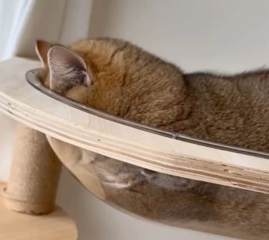 Идеальный кадр⁠⁠