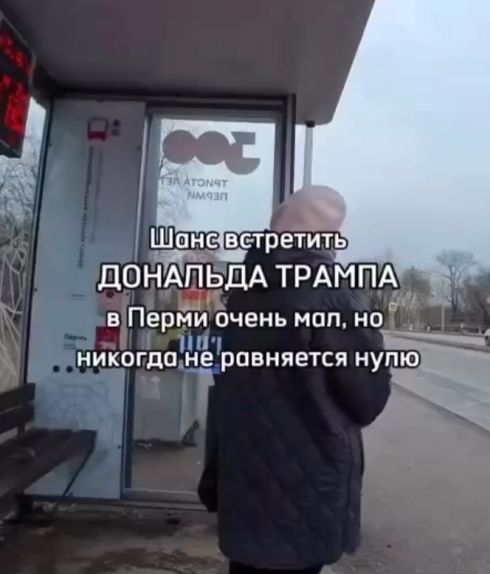 Отличная маскировка, полковник!