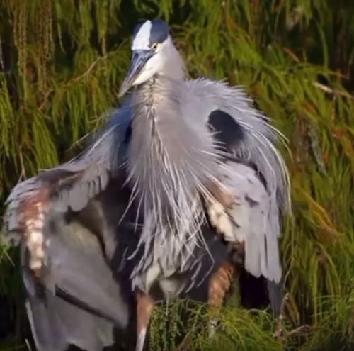 А мы такие зажигаем