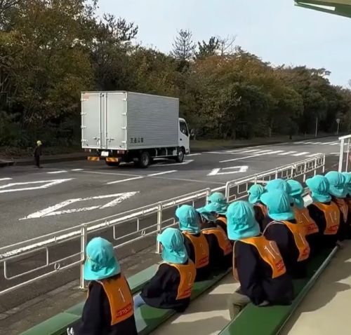 Педагогика, такие уроки дают японским птенцам, что бы выжили⁠⁠