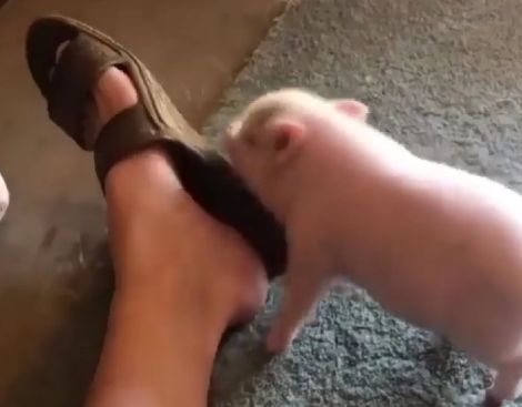 Господи, какой кайф...⁠⁠