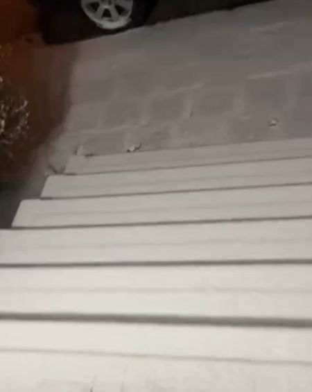 Польский – это такой язык, который ты можешь не знать, но всё равно понимаешь