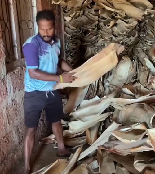 Производство тарелок из пальмовых листьев