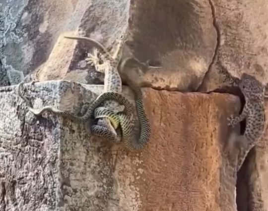 Я спасу тебя мой друг!⁠⁠