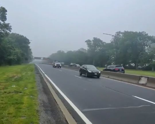 Спасение опоссума