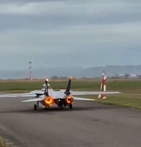 Радиоуправляемая модель F14 Tomcat - 2-местного реактивного истребителя-перехватчика 4 поколения с крылом изменяемой стреловидности