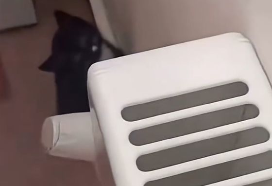 Похолодало⁠⁠