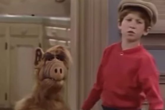 Альф не растерялся