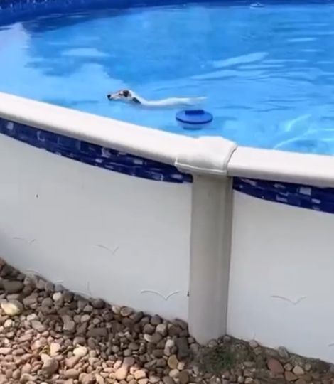 Невероятно умно