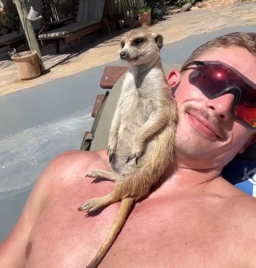 Весёлый отдых