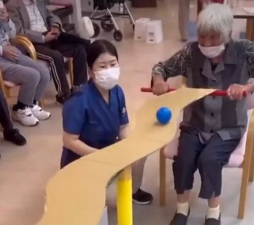 Японский дом престарелых