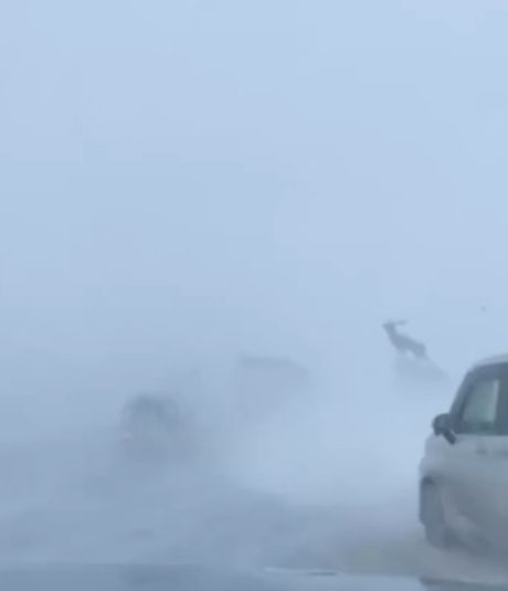 И настал Апокалипсис