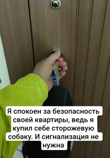 Охранник спит, служба идёт