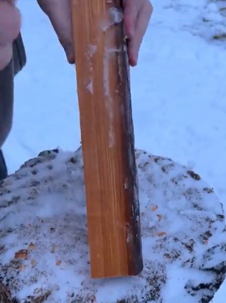 Очень подготовленный дармоед