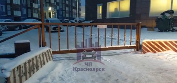 Доктор парковочных наук