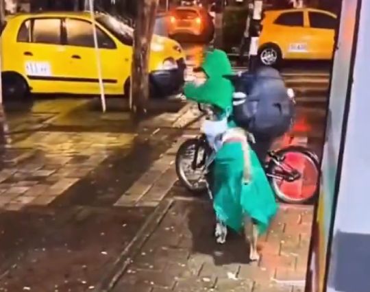 Лучшие друзья