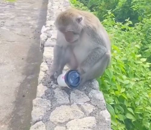 Нет, ты посмотри! Отжала кофе, ещё и недовольна⁠⁠