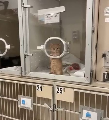 Заберите меня отседова... кто-нибудь