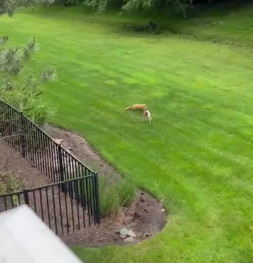 Надо было сразу маму звать!⁠⁠