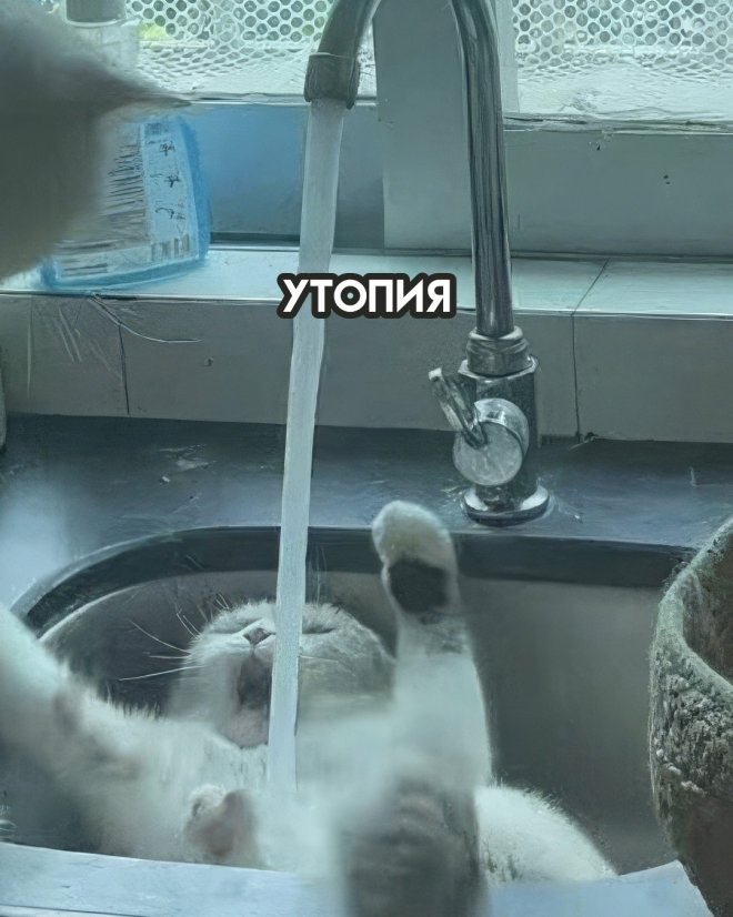 Смотри не перепутай!