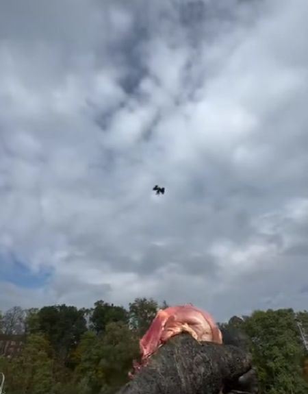 Выпендрёжник