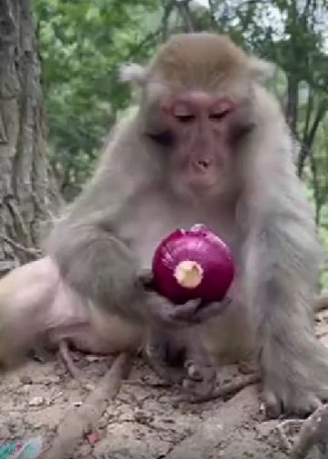 Зато витамины