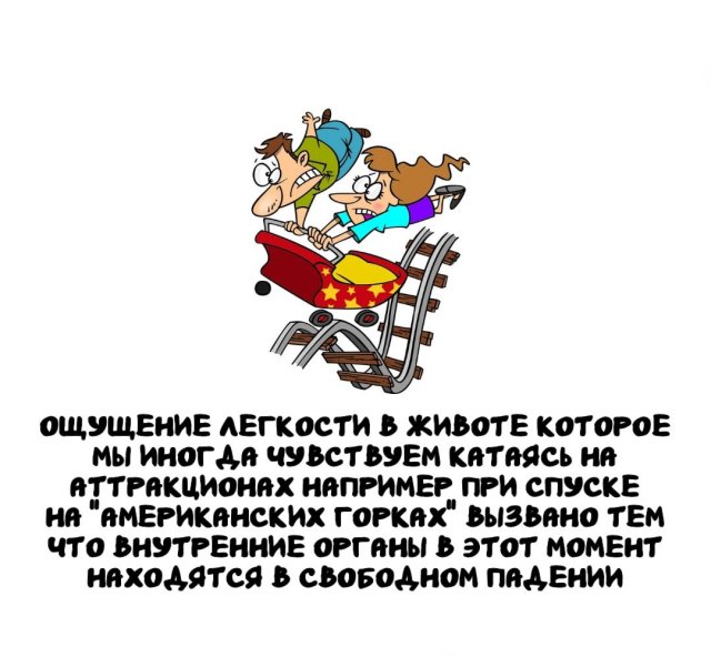 Интересные факты на все случаи жизни (15 фото)