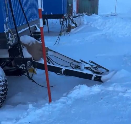 Чукотка, -60 градусов